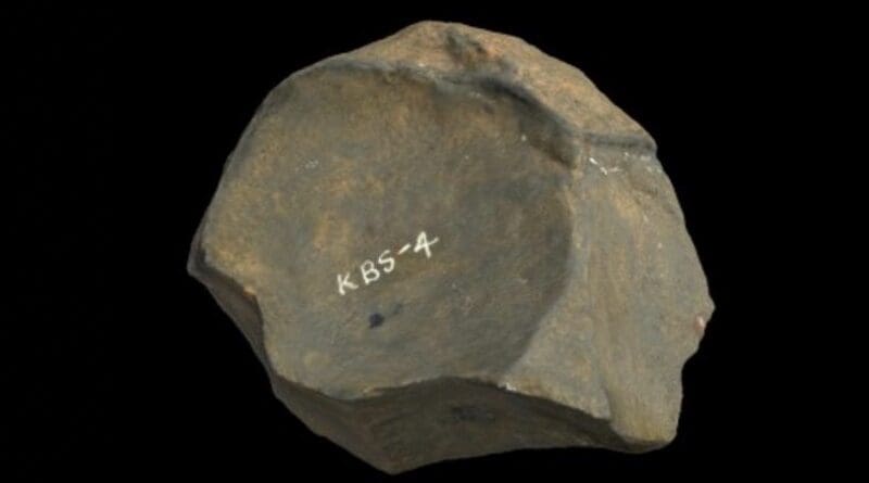 Oldowan core, Koobi Fora, Kenya (First time period, below baselines). CREDIT Curry, Michael. 2020. Oldowan Core, Koobi Fora. Museum of Stone Tools. Retrieved June 10, 2024.