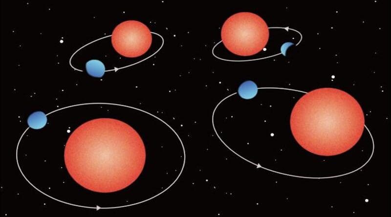 Diagram of discovered exoplanet orbits. The orbits of exoplanets close to their parent stars tend to become circular over time, but three of the newly discovered exoplanets, except the bottom left, have maintained elliptical orbits despite being over a billion years old. CREDIT: Astrobiology Center