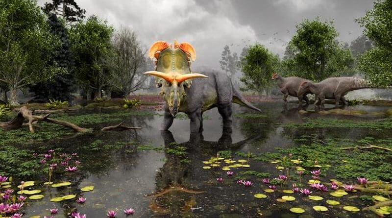 Reconstruction of Lokiceratops in the 78-million-year-old swamps of northern Montana, as two Probrachylophosaurus move past in the background. Artwork by Fabrizio Lavezzi © Evolutionsmuseet, Knuthenborg