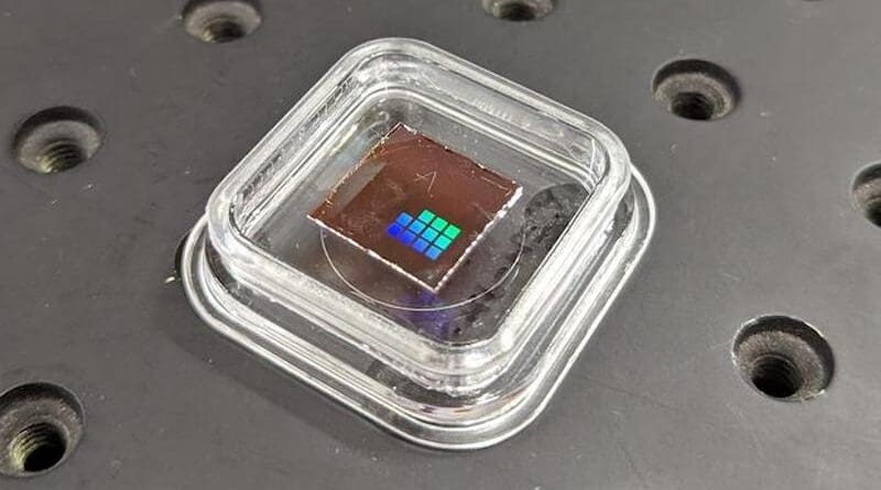 The sensor system can rapidly switch between edge detection – imaging the outline of an object, such as a fruit – and extracting detailed infrared information, without the need for creating large volumes of data and using bulky external processors. CREDIT Lincoln Clark, ARC Centre of Excellence for Transformative Meta-Optical Systems (TMOS)