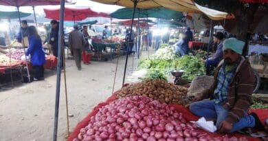 Farmers' Market in Chandigarh, India. Photo Credit: Sarbjit Bahga, Wikipedia Commons