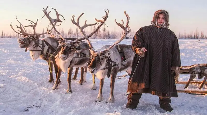 Man Reindeer Yamal, Siberia, Russia