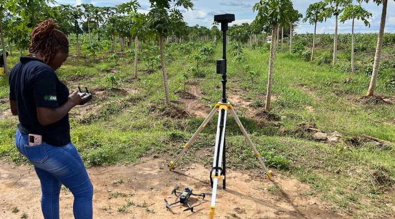 CABI's drone pilot Violet Ochieng preparing a drone to investigate and collect evidence of a devastating mealybug outbreak on papaya farms in Baringo county in Kenya in May 2024. A new report says scientific research on climate change is lacking in the countries most affected by it. Copyright: Davis Weddi / SciDev.Net