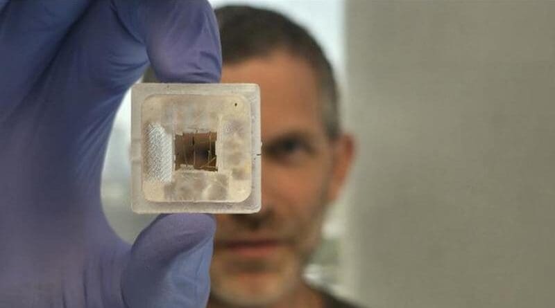 Prof. Ben Maoz Holding the 3D Origami Platform. CREDIT: Tel Aviv University
