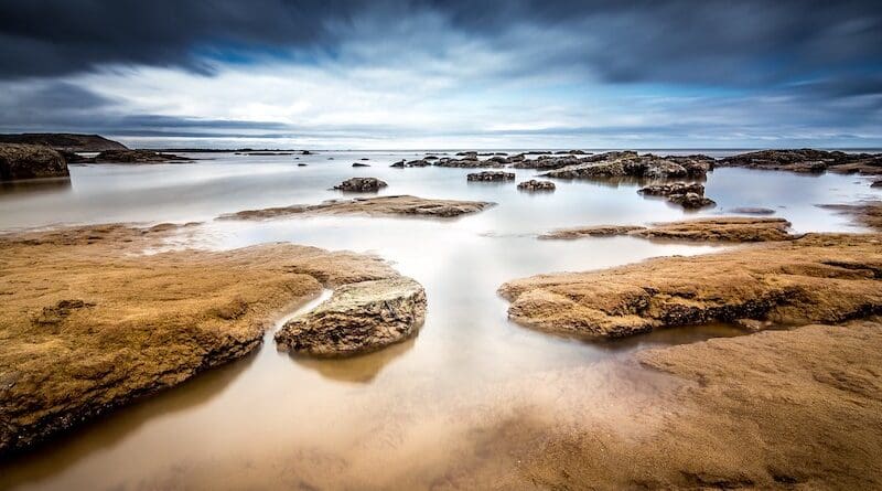 low tide beach ocean