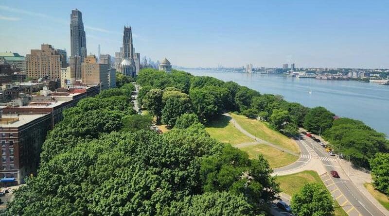 More than a fifth of New York City’s surface is covered with trees, and many more are being planted. Here, Manhattan’s General Grant Memorial and Riverside Park, seen from an apartment building near 125th Street. CREDIT: Róisín Commane