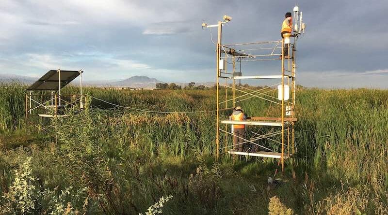 Researchers carrying out measurements in the wetlands analysed. Photo Credit: Universitat Autònoma de Barcelona (UAB)