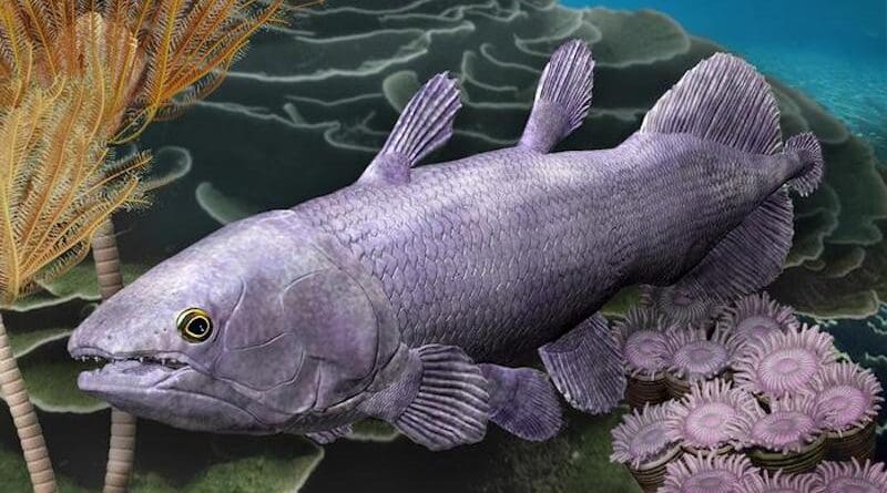 A live recreation of the Ngamugawi wirngarri coelacanth in its natural habitat. P3D graphic credit: Katrina Kenny CREDIT: Illustration Katrina Kenny (courtesy Flinders University)