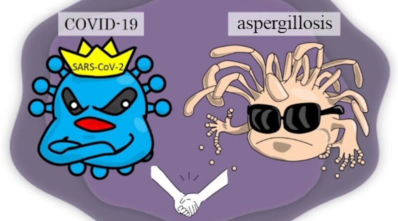 COVID-19-associated pulmonary aspergillosis: The invasive fungal infection pulmonary aspergillosis is caused by the aspergillus fungus and has been known to occur among patients with COVID-19. Credit: Yukihiro Kaneko, Osaka Metropolitan University