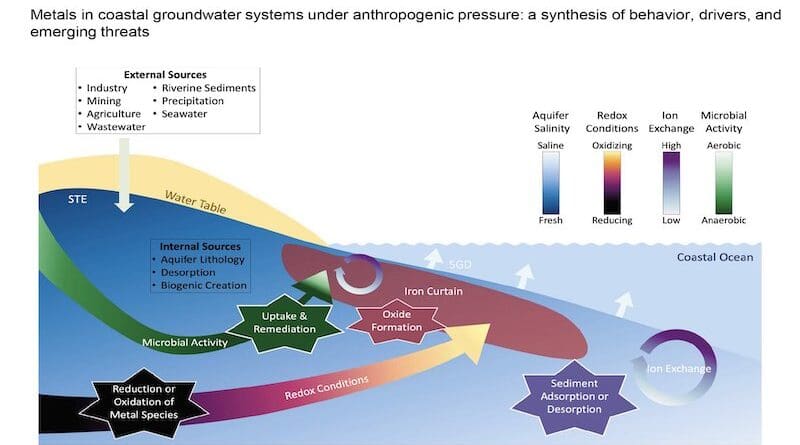 Major processes influencing metal behavior in the in the coastal aquifer. Figure: Tristan McKenzie/Amy Moody