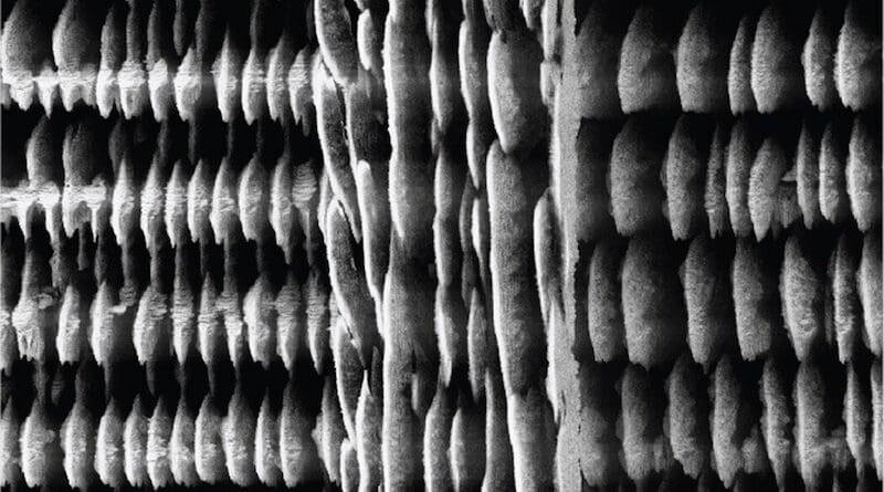 A close up of 3D-printed Si-rich glass micro-supercapacitors (MSCs) on silicon substrates, magnified by 4720 times.