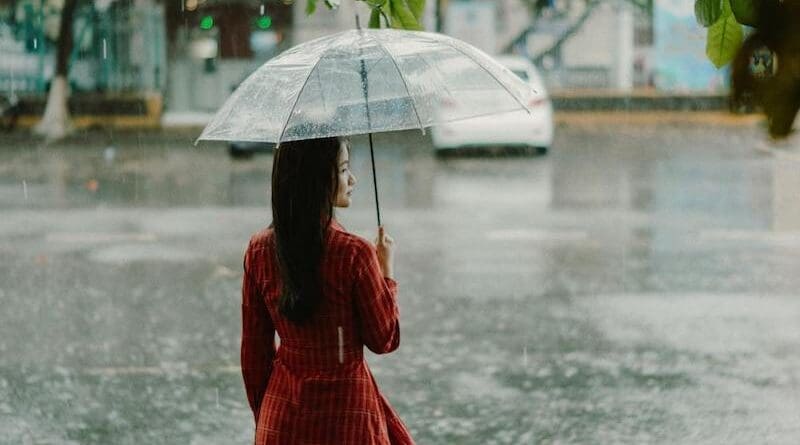 asia vietnam woman rain umbrella file photo