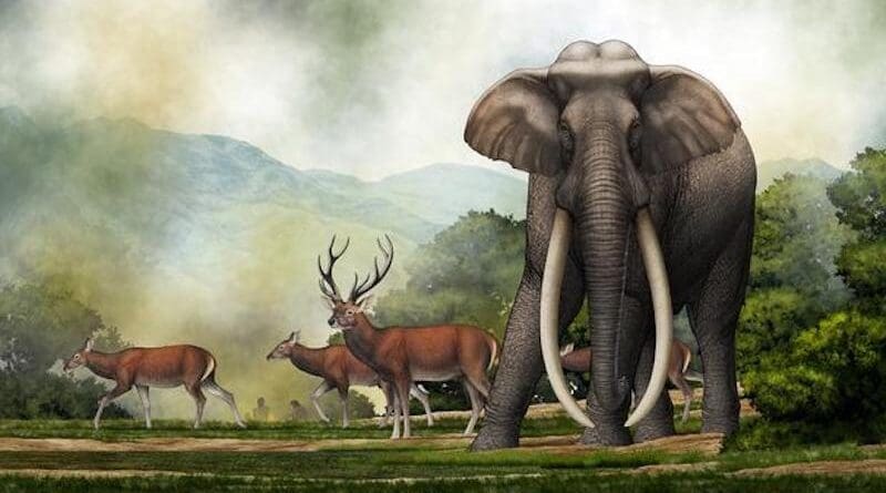 Scientists studied stone tools, bone flakes and rare elephant remains at a middle Pleistocene site. Their findings shed light on the evolution of giant elephants and humans alike. CREDIT: Illustration by Chen Yu