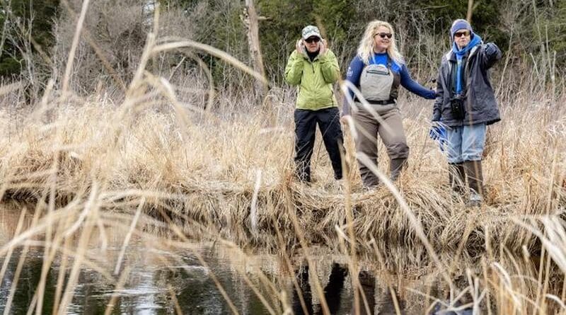 Two volunteers and a Shedd Aquarium researcher look for suckers at a monitoring site in the Great Lakes. CREDIT: Shedd Aquarium