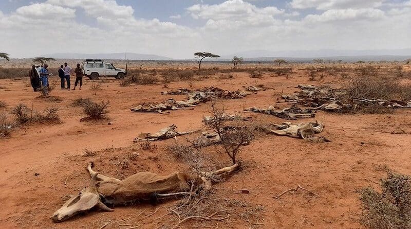 Drought in Africa. Photo Credit: European Commission, Joint Research Centre (JRC)