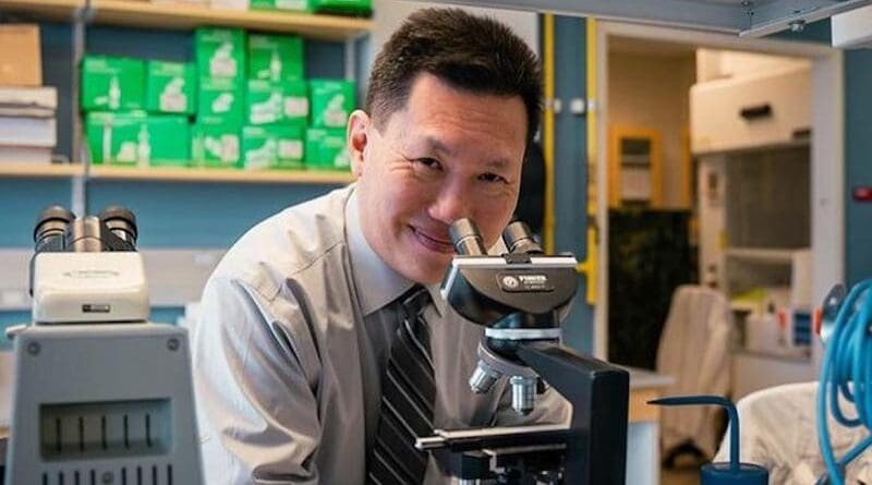 NIH has awarded $3.96 million to Vincent Tam, professor of Pharmacy Practice and Translational Research at the University of Houston College of Pharmacy. CREDIT: University of Houston