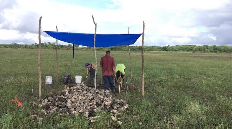 Researchers doing reconnaissance in the Crooked Tree Wildlife Sanctuary CTWS where they discovered evidence of a large-scale pre-Columbian fish-trapping facility. CREDIT: Courtesy Belize River East Archaeology (BREA) Project