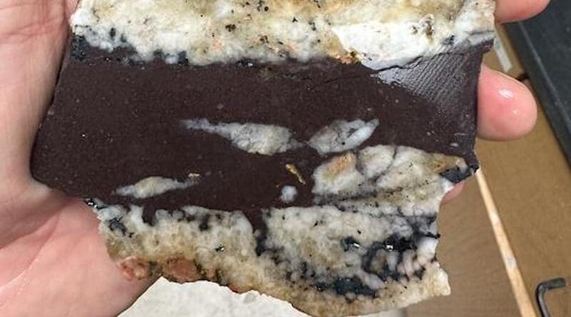 Dark brown bands of Tava sandstone cut through other rocks. CREDIT: Liam Courtney-Davie