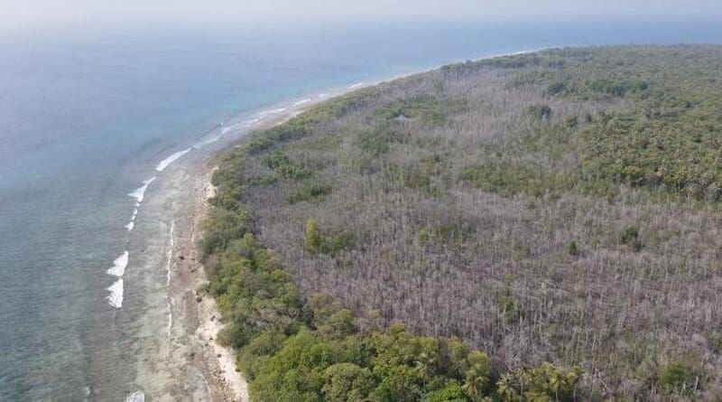 Drone image of the mangrove dieback on HDh. Neykurendhoo in the Maldives. CREDIT: Maldives Resilient Reefs