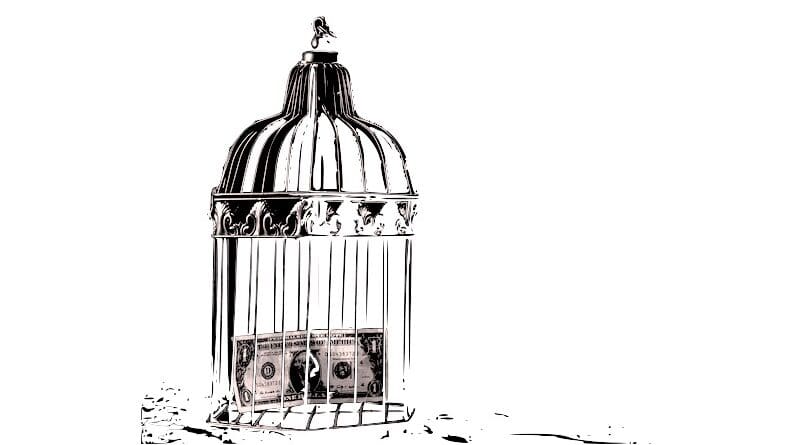 dollar cage capitalism