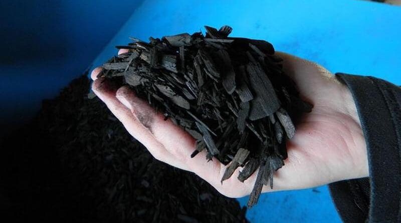 The goal of the project is to help ensure that biochar lives up to its potential as a positive and beneficial bio-based product, the researchers said. CREDIT: Penn State