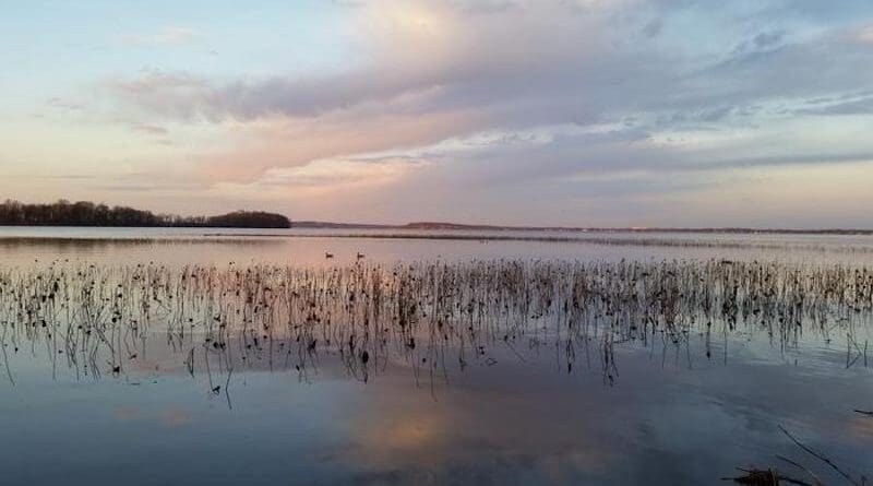 The team analyzed genetic material from microbes in a one-of-a-kind archive of water samples collected over 20 years from Lake Mendota in Wisconsin. CREDIT: Robin Rohwer/University of Texas at Austin.