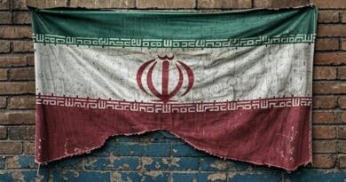 Flag of Iran. Image: Grok