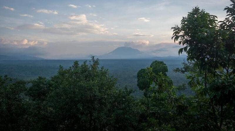 Virunga National Park CREDIT: INRAE - S. Desbureaux