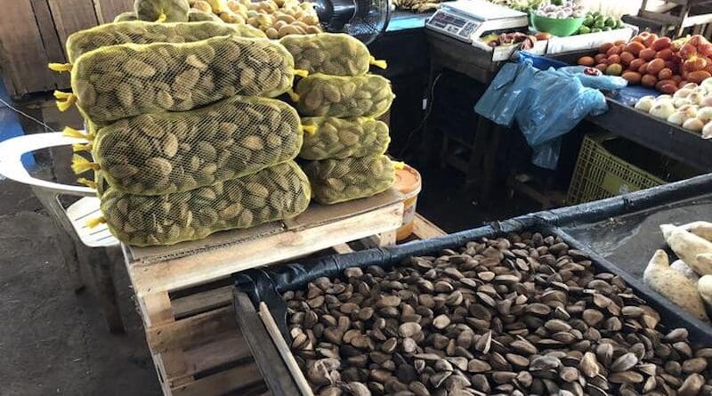 Sale of Brazil nuts at a local market CREDIT: © Max Planck Institute of Geoanthropology/ Victor Caetano-Andrade