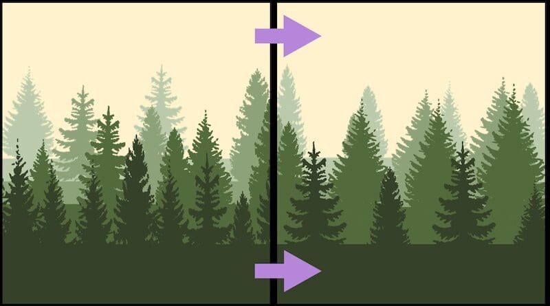 Expected shift in boreal forests. The left panel shows typical current tree densities: higher densities in the warmer southern boreal forests (foreground, dark green), lower densities in the cold northern boreal forests (background, light green). The right panel shows the modelled shift towards one density because dense forests become more open and sparse forests become denser. Source: Rotbarth et al.