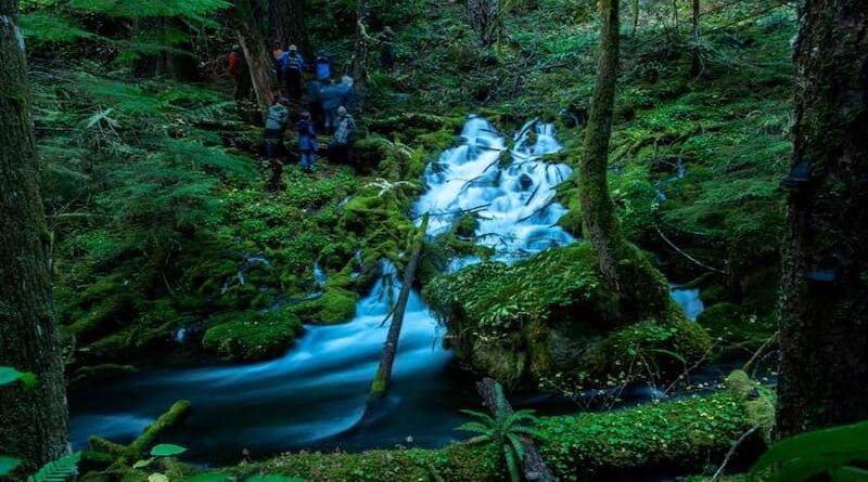 Scientists examine a large-volume spring in young volcanic rocks of the Mckenzie River watershed on the west side of the Cascade topographic crest that was monitored as part of this study. CREDIT: Benjamin Nash