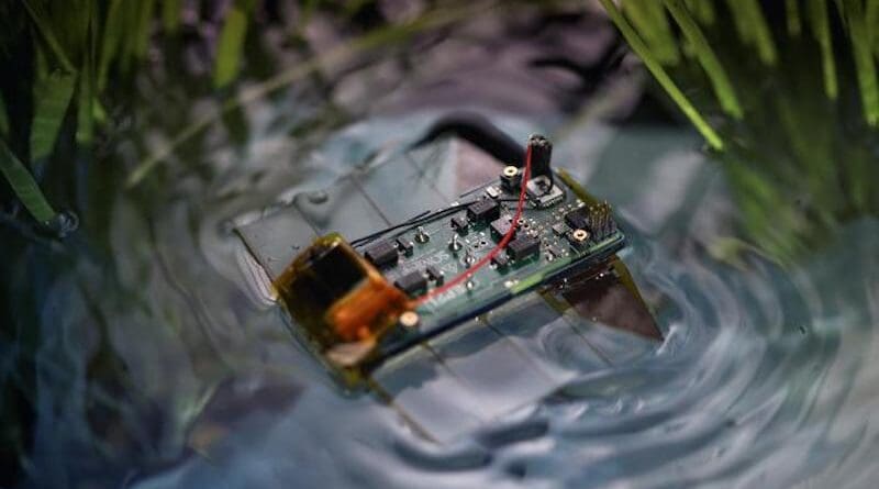 A miniature swimming robot inspired by marine flatworms Credit: © EPFL-LMTS
