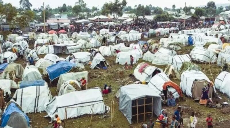 In a Jan. 29, 2025, report, the leadership of the aid agency of the Catholic Church in England and Wales said the situation in Goma has worsened due to escalating conflict, underscoring the need for a heightened humanitarian response. | Credit: CAFOD