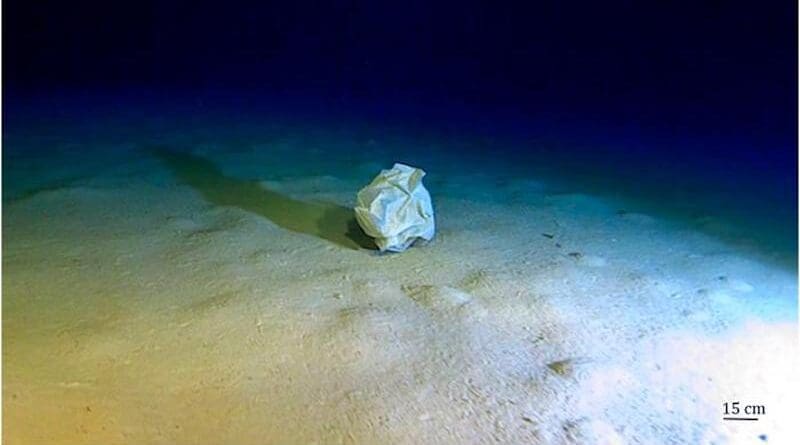 The bottom of the Calypso Deep, a 5,112-metre deep depression in the Ionian Sea, contains one of the highest concentrations of marine debris in the deep ocean: it is yet another testimony to the increasingly worrying human footprint that has turned seas and oceans into a vast waste dump. Credit: Caladan Oceanic