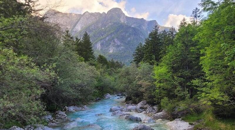 The interplay of environmental conditions and geographical barriers such as mountains and lakes determine where plants thrive – an international study shows how these patterns have developed over millions of years. CREDIT: Holger Kreft