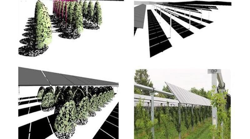 Agrivoltaics integrates solar power generation with agriculture. Researchers at Fraunhofer Institute for Solar Energy Systems (ISE) are exploring different scenarios to optimize both the photovoltaic panel positioning and the underlying crops. A pilot project in Nussbach will contribute to a deeper understanding of the impact of agrivoltaic systems on apple orchards and the surrounding environment. Credit: Bruno et al., doi 10.1117/1.JPE.15.032703.