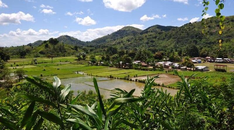 A farming village in the SAVA region of northern Madagascar. Credit: Voahangy Soarimalala, Association Vahatra