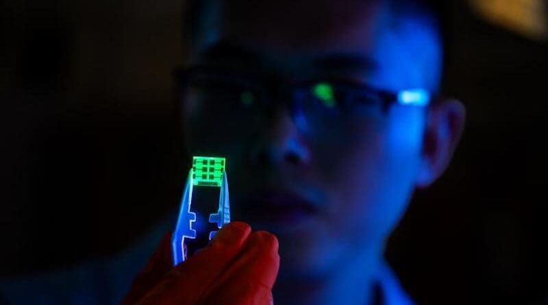 Muyi Zhang, PhD student at the Department of Physics, Chemistry and Biology at LiU, holds a perovskite LED. CREDIT: Olov Planthaber