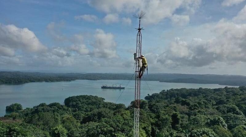 Technician Cesar Gutierrez climbs a tower to detect and locate lightning strikes in the study area. After detection, drones and on-the-ground teams monitor the strike’s impacts. Credit: Evan Gora / Cary Institute of Ecosystem Studies