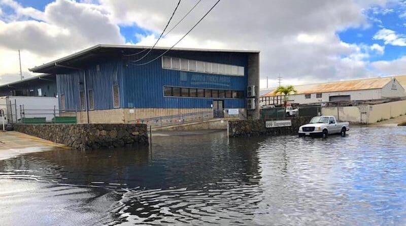 Flooding in the low-lying Mapunapuna industrial area on O'ahu, Hawai'i. Credit: Hawaiʻi Sea Grant King Tides Project.