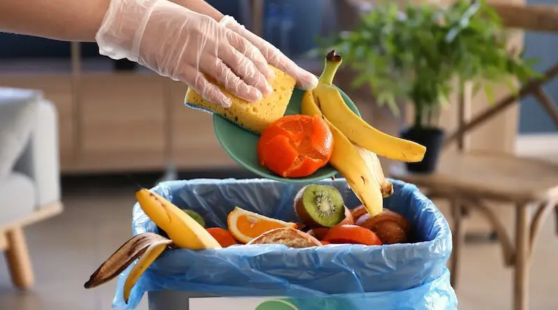 Food waste – from homes and schools to workplaces and canteens. Photo Credit: EUFIC - European Food Information Council