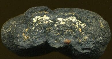 Example of manganese nodule that can be found on the sea floor. Photo Credit: James St. John, Wikipedia Commons