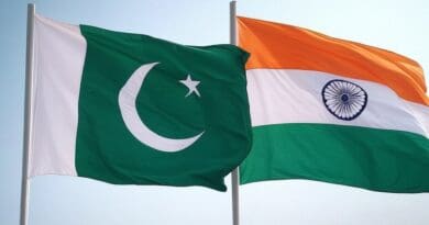 flags india pakistan grok