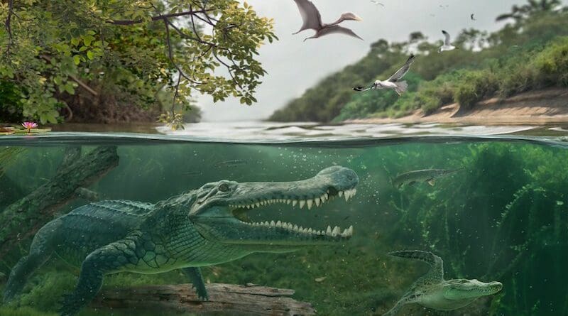 Late Cretaceous interaction in the southwestern coastal wetlands of the Western Interior Sea-way: Deinosuchus riograndensis to the left and an early alligatoroid to the right. Image: Márton Szabó