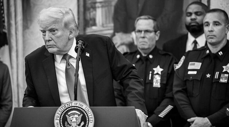 US President Donald Trump (Official White House Photo by Joyce N. Boghosian)