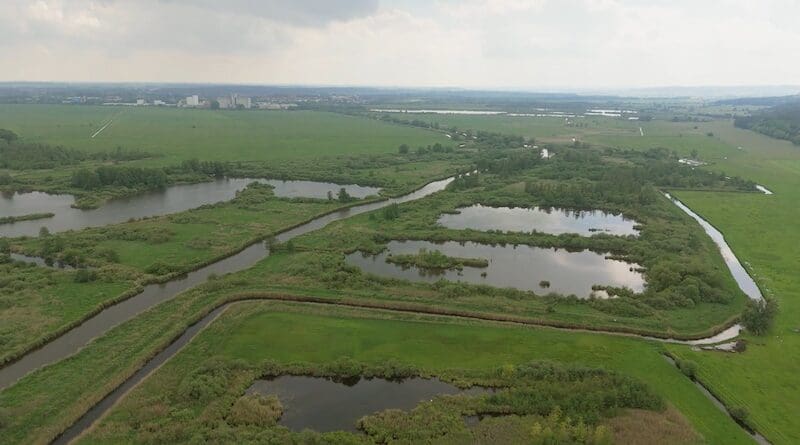 Photo Credit: youris.com