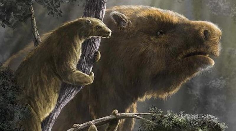 Ancient sloths lived in trees, on mountains, in deserts, boreal forests and open savannahs. These differences in habitat are primarily what drove the wide difference in size between sloth species. CREDIT: Illustration by Diego Barletta