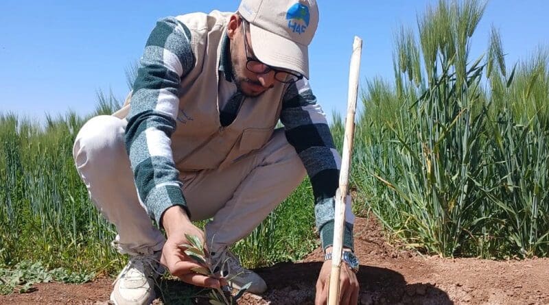 Photo by High Atlas Foundation, 2025