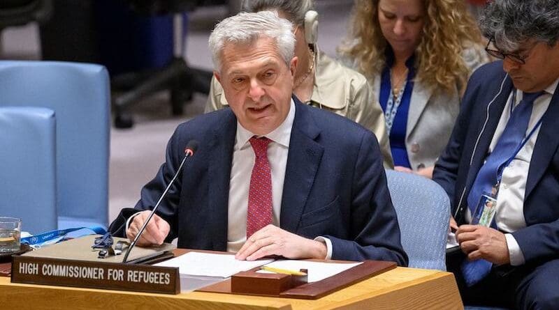 Filippo Grandi, UN High Commissioner for Refugees (UNHCR), briefs members of the UN Security Council. Photo Credit: UN Photo/Loey Felipe