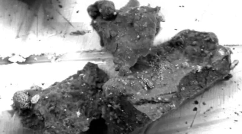 Scanning electron micrograph of the number 15 grain of sample plate C0105-042 from Ryugu, in which djerfisherite was discovered. (Hiroshima University/Masaaki Miyahara).